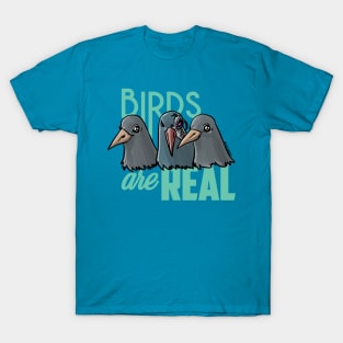 Birds Are Real - Teal T-Shirt